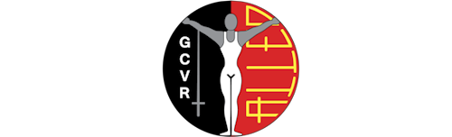Logo da entidade gcvr